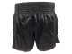 Lumpinee Retro High cut Muay Thai Shorts : LUMRTO-003 Black